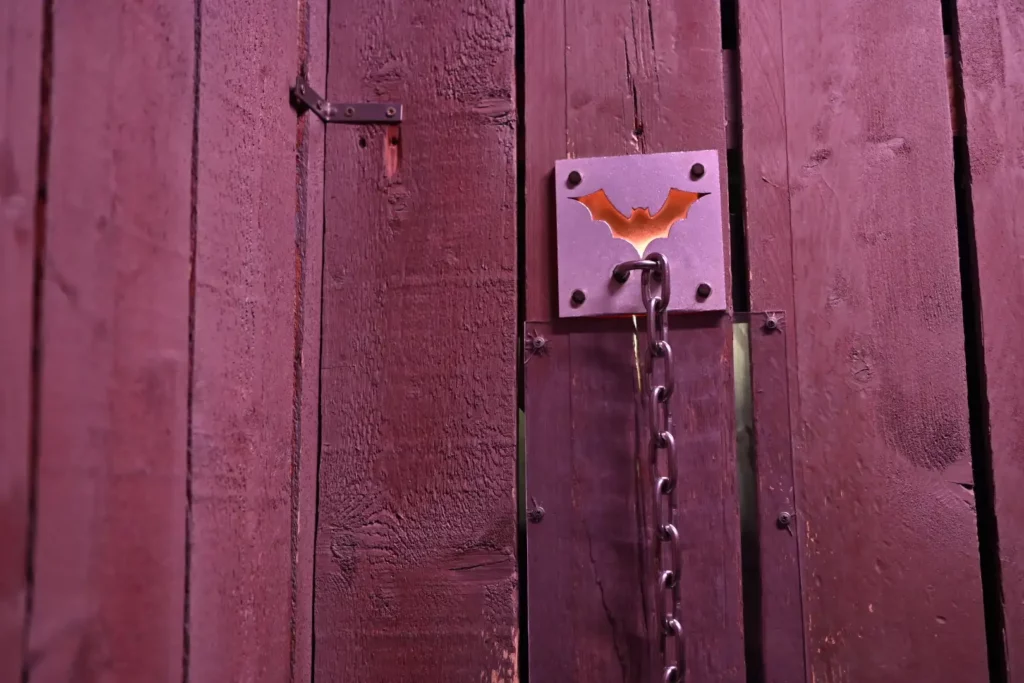 Bat on wooden wall with chain